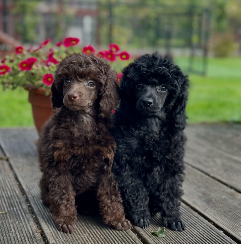 8CCC0615-7316-4488-985A-F6F2FFCC91FE